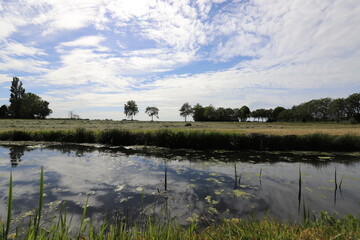 Beautiful panoramic view over a Dutch pasture landscape with a small stream and trees in the distance.