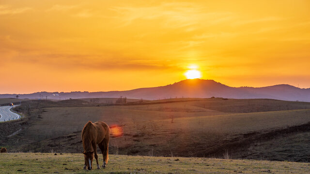 「乙女ロード」の画像 174 件の Stock 写真、ベクターおよびビデオ Adobe Stock