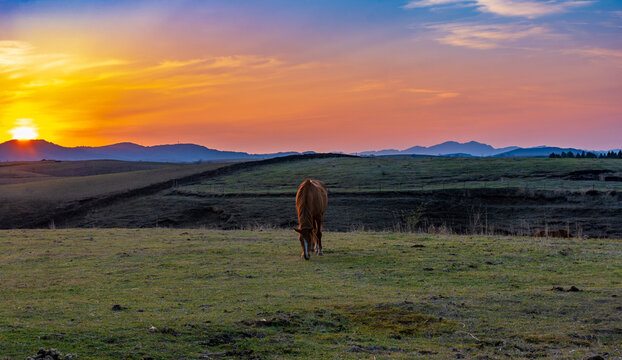 「乙女ロード」の画像 174 件の Stock 写真、ベクターおよびビデオ Adobe Stock