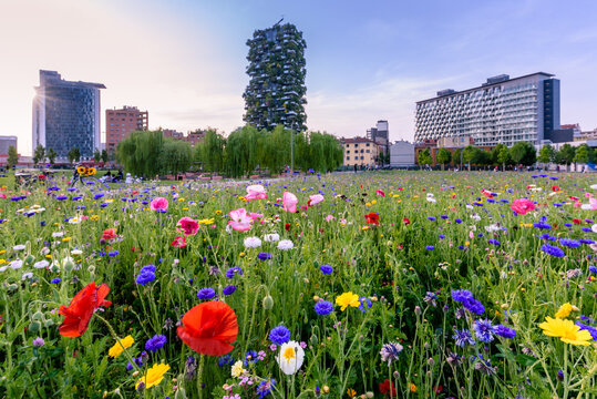 Milano nuovi grattacieli  Porta Nuova Porta Garibaldi Corso Como