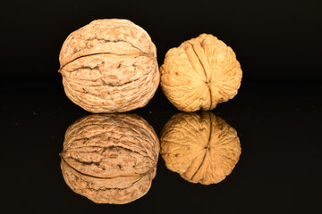 Ripe tasty, organic walnut, close-up, on a black background.