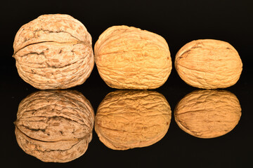 Ripe tasty, organic walnut, close-up, on a black background.