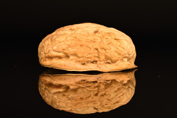 Ripe tasty, organic walnut, close-up, on a black background.