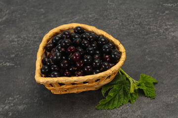 Fresh ripe sweet black currant