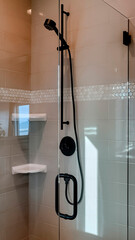Vertical crop Shower stall with frameless glass enclosure and hinged door inside bathroom