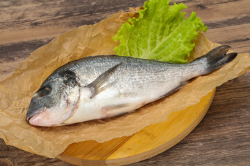 Raw Dorada fish  for cooking