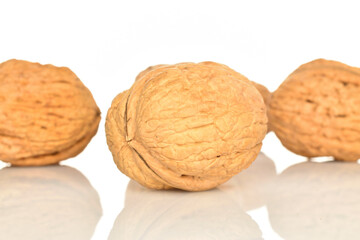 Ripe tasty, organic walnut, close-up, on a white background.
