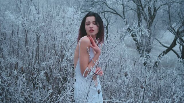Sad lonely cute young beautiful woman princess standing in frosty fabulous forest. Brunette girl freeze, scared. White sexy dress. Backdrop beauty winter landscape, snowy frost on trees shrubs grass