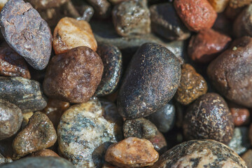 Fototapeta na wymiar Wet multi-colored river stones close-up. Natural textures.