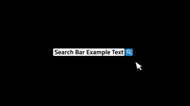Social Media Search Bar
