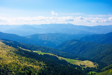hills and valleys of carpathian mountains. trees and bushes on the grassy slopes.  beautiful landscape on a sunny day. clouds on the blue sky