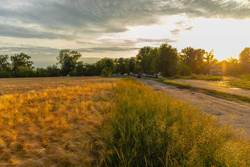Naklejka premium Sunset over road and field