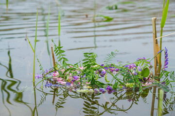 Wreath of multicolored wild flowers on the water surface in summer in Ukraine. Reflection in water.