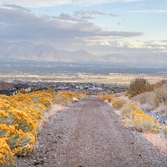 Square Gravel trail with yellow wild flowers day light
