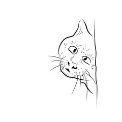 Cartoon amazed cat. Sketch style.