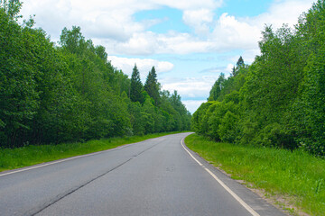 Empty asphalt road empty road between green trees in Russia, summer landscape