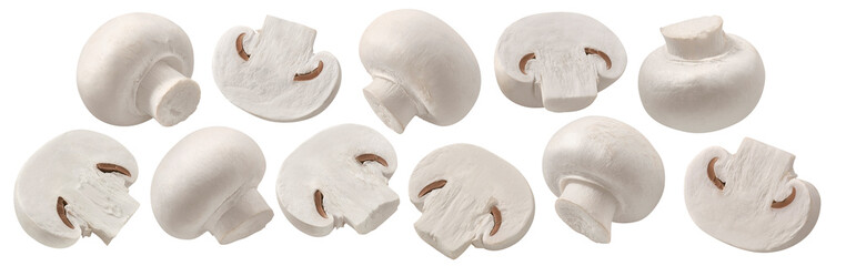 Button mushroom set isolated on white background. Package design element with clipping path