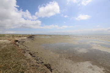 Beautiful panoramic view over the Sea at very low tide with a blue sky.