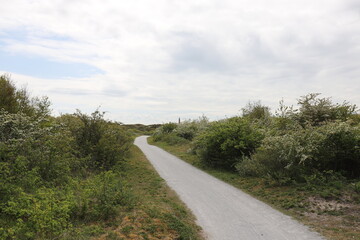 Panoramic landscape with cycle path between green dunes landscape.