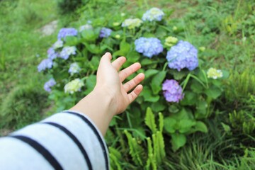 little girl picking flowers