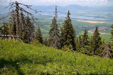 Demanovska hill - Jasna - Low Tatras mountains - beautiful view on the Liptovska Mara dam from Demanovska hill © Stanislav
