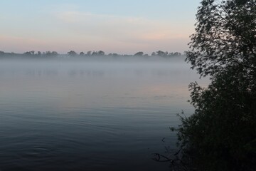 Black outlines of trees and bushes on the river bank in the morning on a background of white fog.