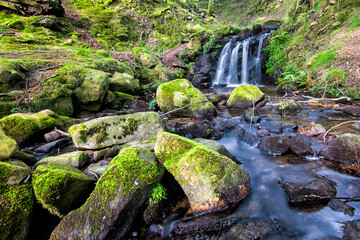 waterfall in the forest