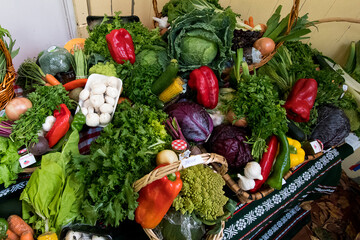 fresh vegetables in the basket