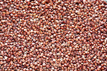 The texture of buckwheat. Background image of buckwheat porridge. View from above. A bunch of buckwheat.