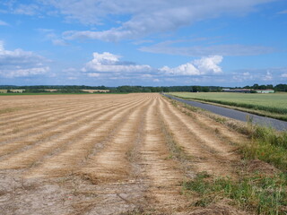 Fototapeta na wymiar Fields in the north of France. (Flavacourt, Oise department, june 2020)