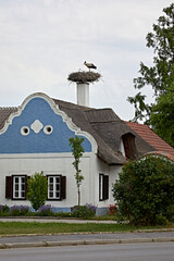 stork nest breeding chimney old house