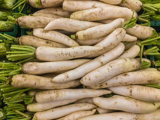Fresh white daikon radish in stall at market. Daikon also known as white radish, winter radish, chai tow or chai tau. Daikon is harvested and consumed throughout the region, as well as in South Asia.