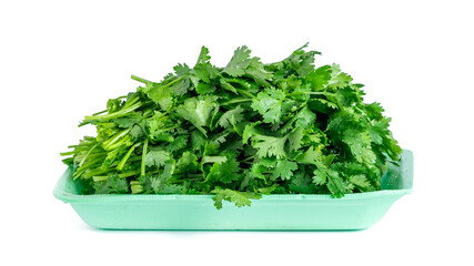 fresh coriander and parsley isolated on white background