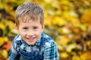 Portrait of a fashionable boy in a green checked shirt in the open air against a background of yellow leaves. Cute boy walking in the autumn Park. Space for text.