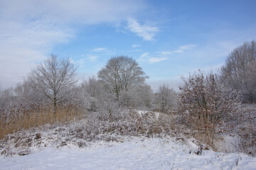 bourgoyen nature reserve i the snow, Ghent, Flanders, Belgium