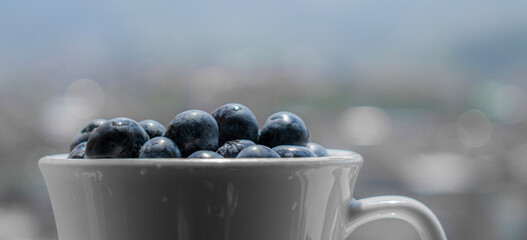 fresh bule berries in a bowl