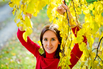 Close-up open Portrait of a young beautiful happy smiling girl in a red sweater posing near an autumn tree. The lady looks at the camera.