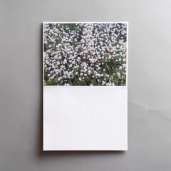 Photo-book in expanded form, on a gray background, with one empty photo. The second photo shows garden flowers. The design of the photobook. Mock-up. Stylized stock photos.