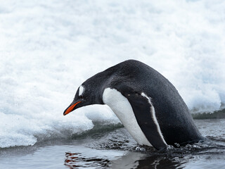 Antarctica, South Pole