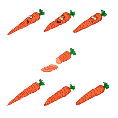 Carrot set. Illustration on a white background.