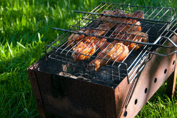 Chicken meat cooked on fire. Grilled meat. Cooking at backyard. Food. Fried meat. Food background. Chicken legs. Green grass. 