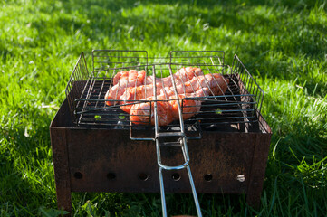 Chicken meat cooked on fire. Grilled meat. Cooking at backyard. Food. Fried meat. Food background. Chicken legs. Green grass