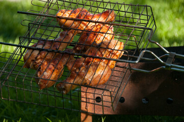 Chicken meat cooked on fire. Grilled meat. Cooking at backyard. Food. Fried meat. Food background. Chicken legs. Green grass. 