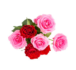  beautiful flower roses Save with clipping path. 