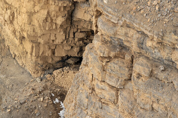 Snow leopards mating pair near a cave at Kibber, Spiti valley of Himachal Pradesh, India