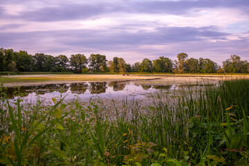 Biosphärenreservat Oberlausitzer Heide- und Teichlandschaft, Teichgebiet Uhyst/Gemeinde Boxberg