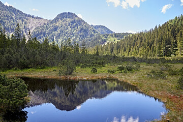 Fototapeta na wymiar tranquil lake reflection landscape wood sky