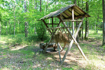 Feeder with hay and salt for wild animals in forest