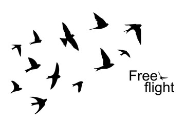 Obraz na płótnie Canvas The silhouette of flying swallows. Vector illustration