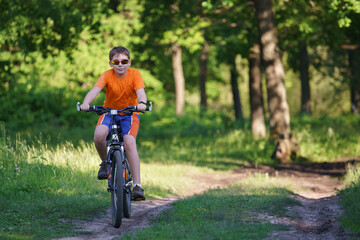 Fototapeta premium A child walks on a bicycle through the summer forest. Copyspace